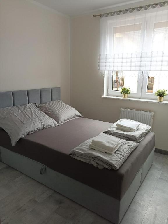 Apartament Brzeg Exteriér fotografie